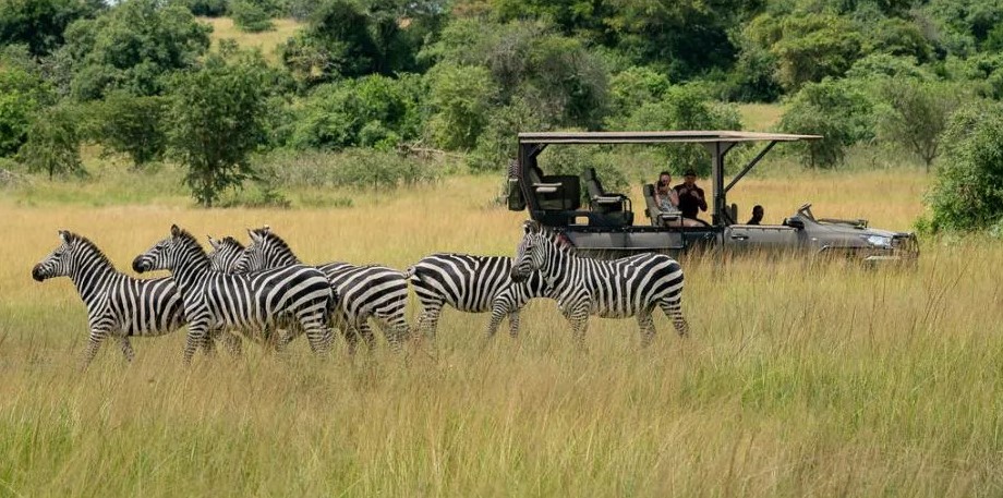 Rwanda Travel Tips
