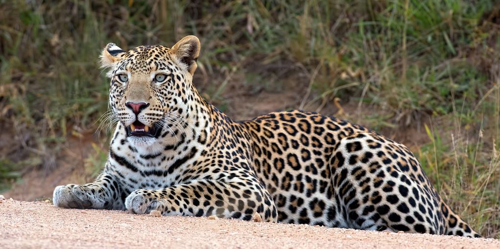 Lake Mburo national park