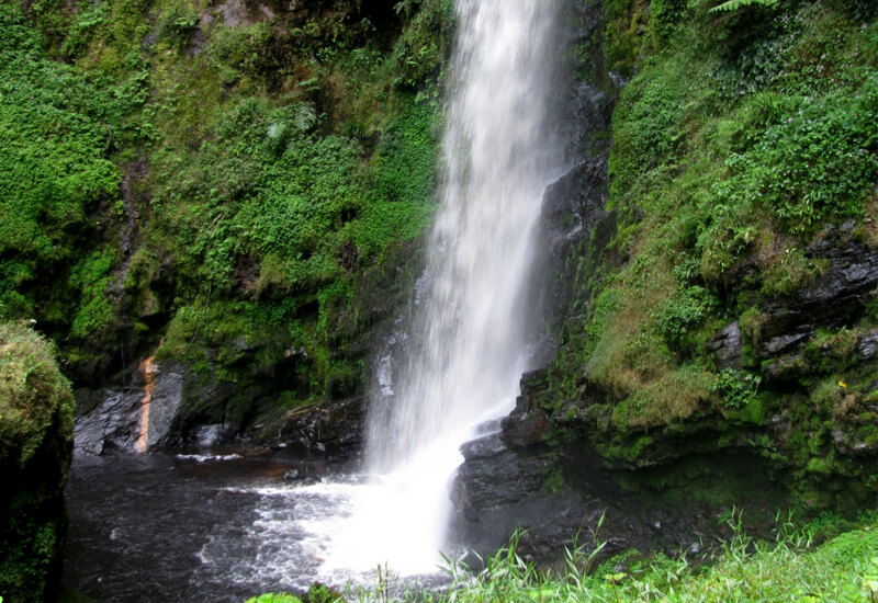 Nyungwe national park