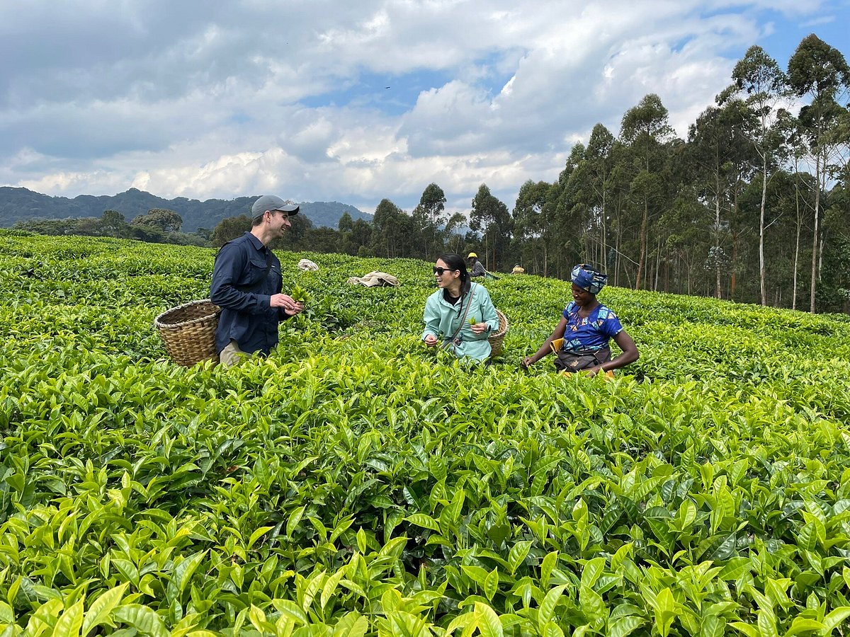 11 Days Rwanda Family Vacation Safari