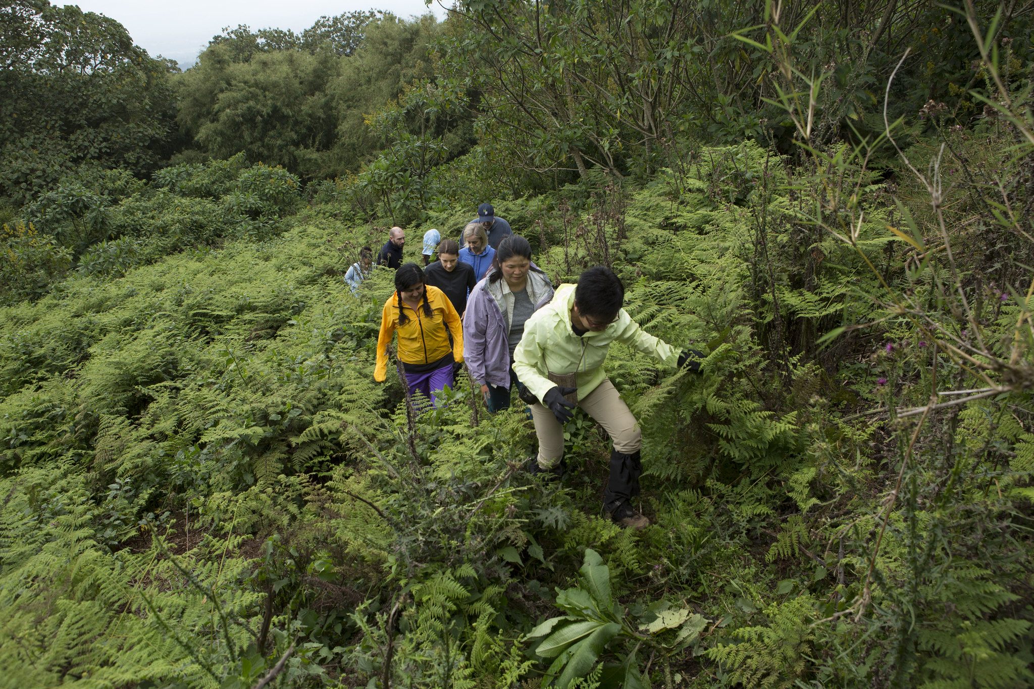 15 Days Rwanda Safari Tour