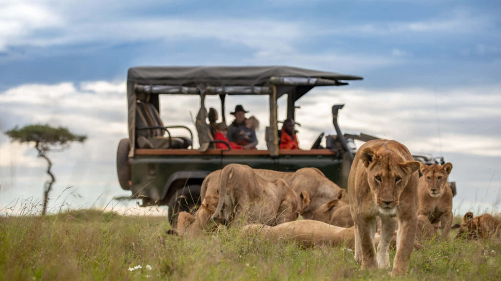10 Days Tanzania Safari Adventure