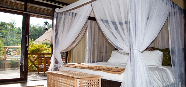 4 Days Rwanda Double Gorilla Trekking Safari 