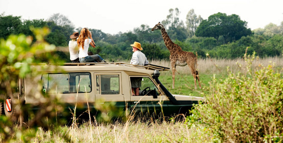 3 Days Nairobi National Park Safari