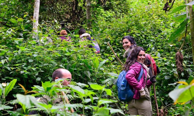 What to do in Kibale National Park 2026?