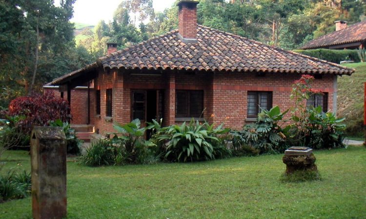Activities to do in Nyungwe National Park 2026