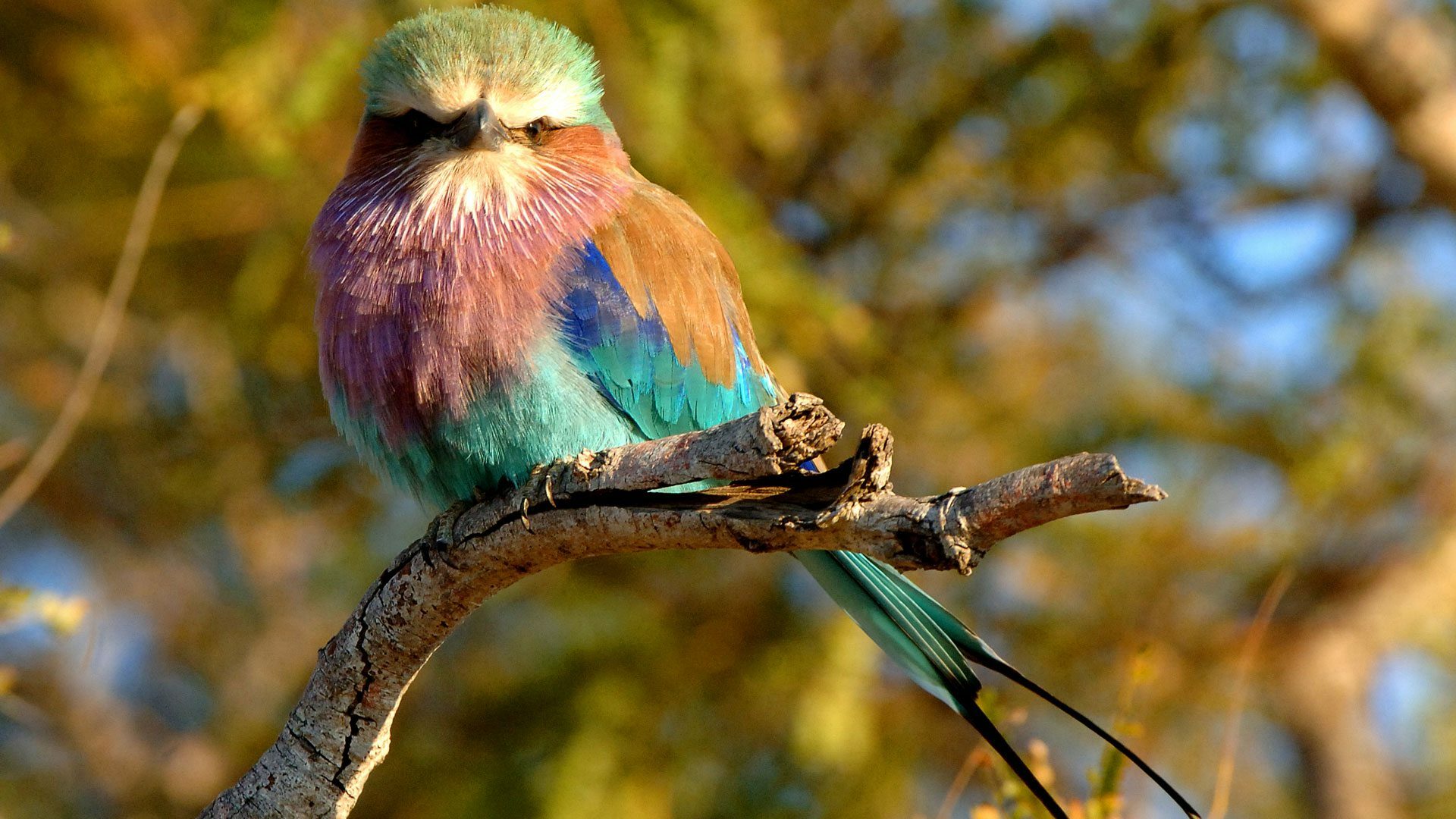 Kidepo Valley National Park