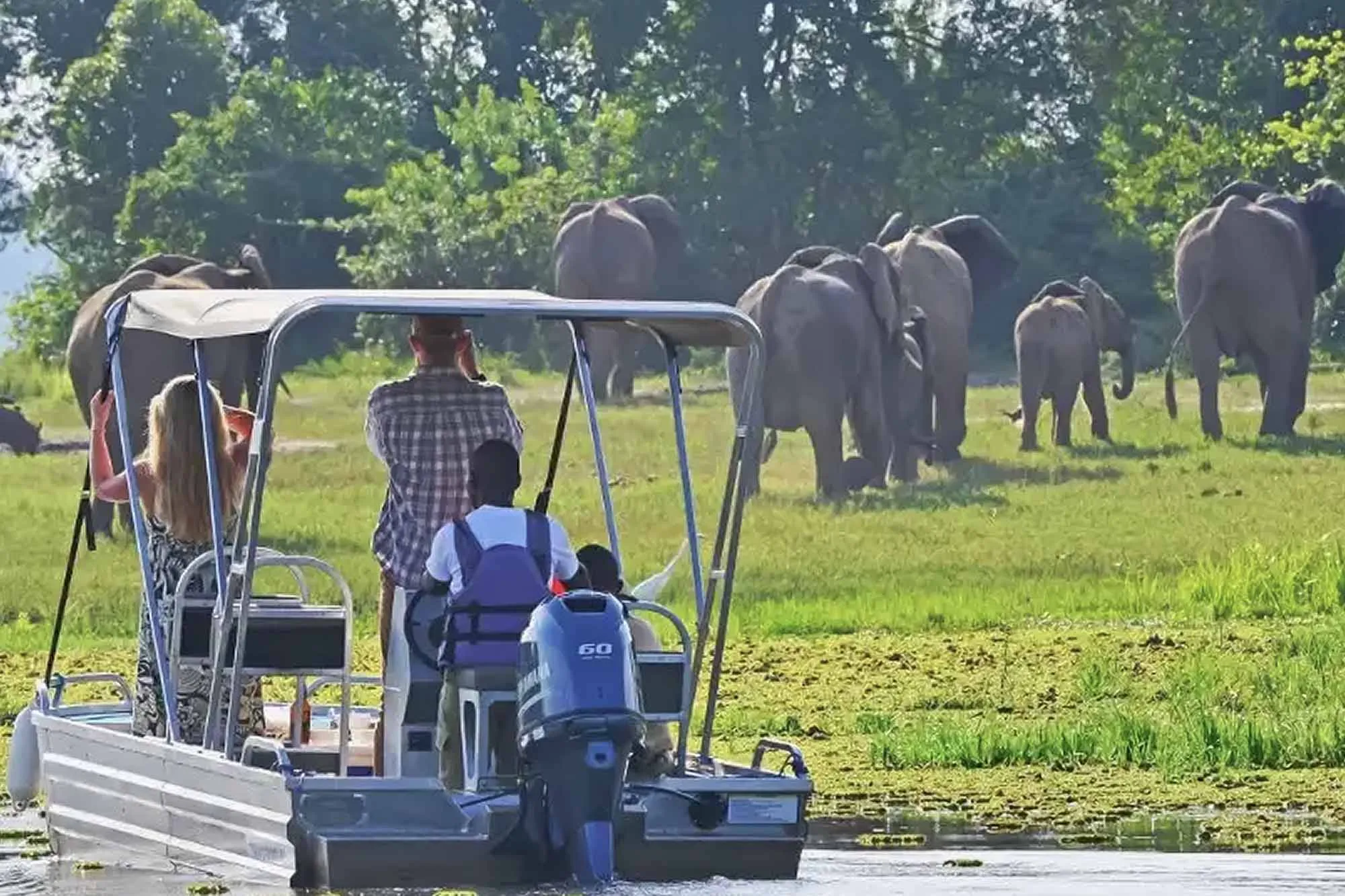 4 Days Chimpanzee Trekking and Wildlife safari