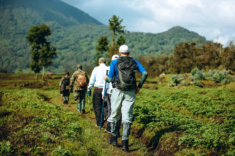Solo Travelers Tips to Volcanoes National Park