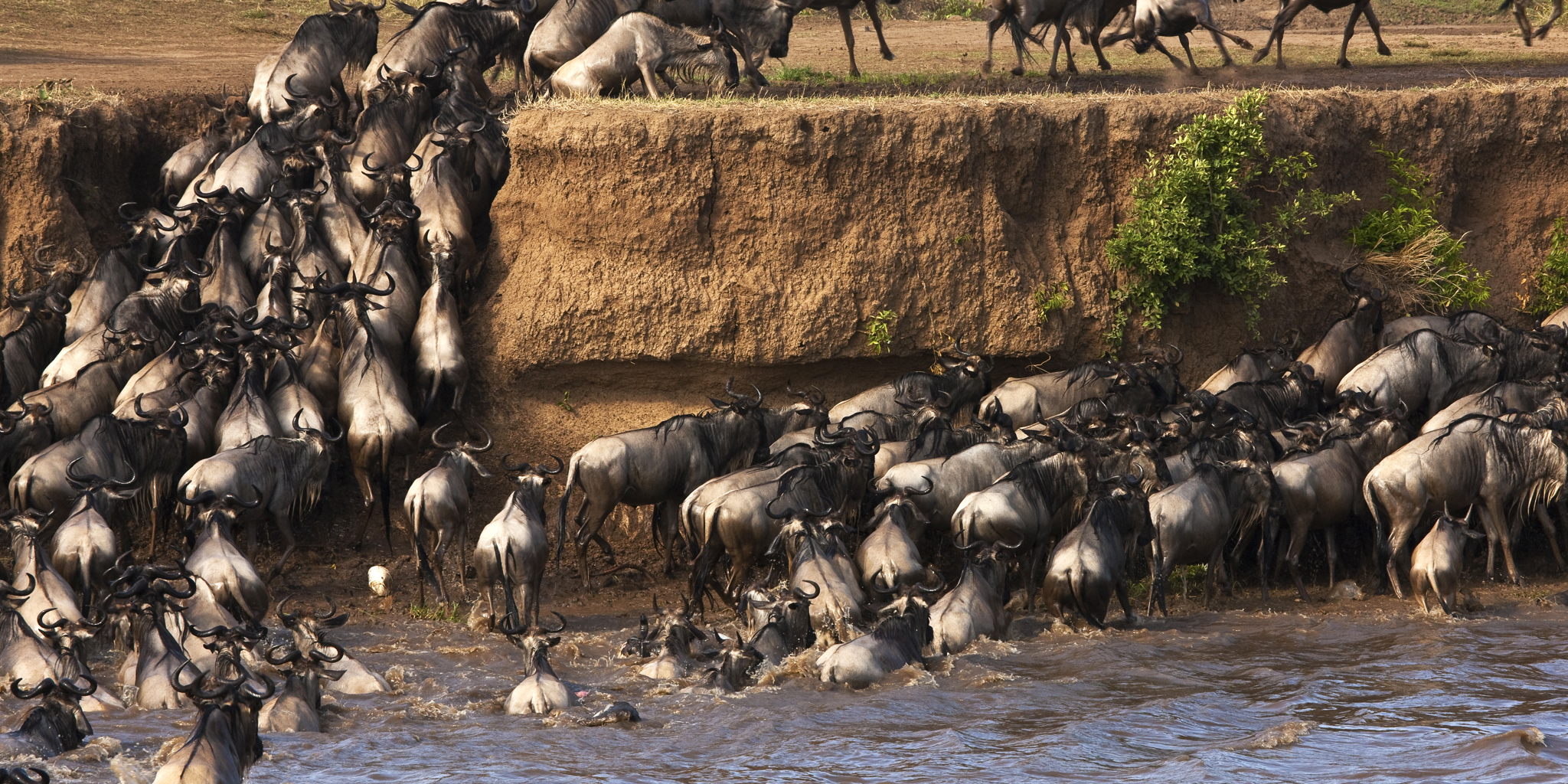 6 Days Rwanda & Masai Mara Safari