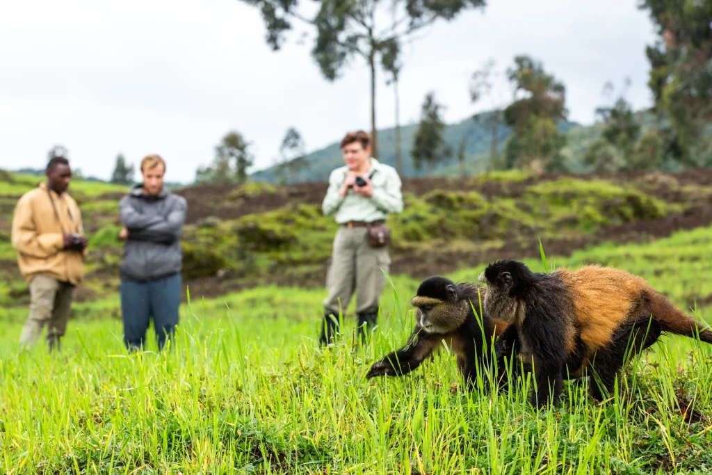 Rwanda Photo Safari