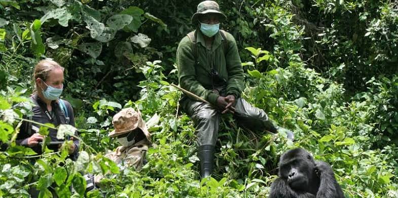 What to Wear for Gorilla Trekking in Uganda and Rwanda