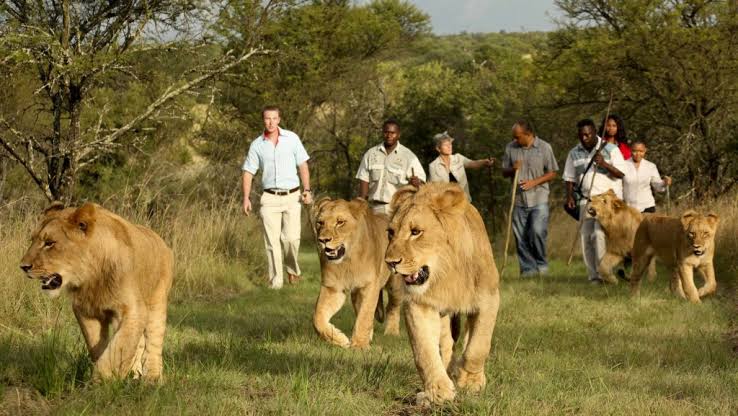 Walk the Line Tour in Akagera National Park