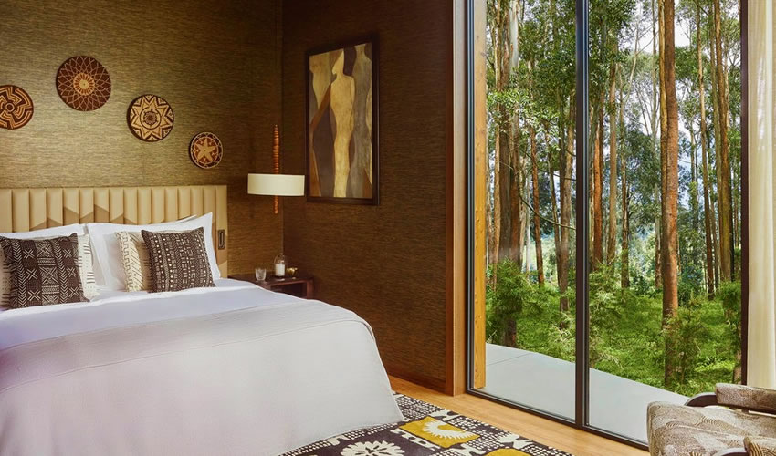 Rwanda Travel Guide for First-Time Visitors
