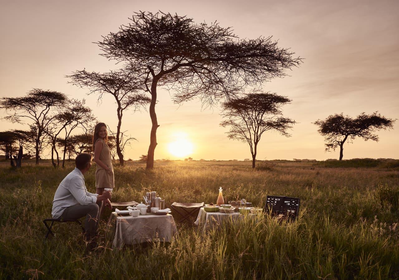 A Typical Day on Safari in Africa : What To Expect 