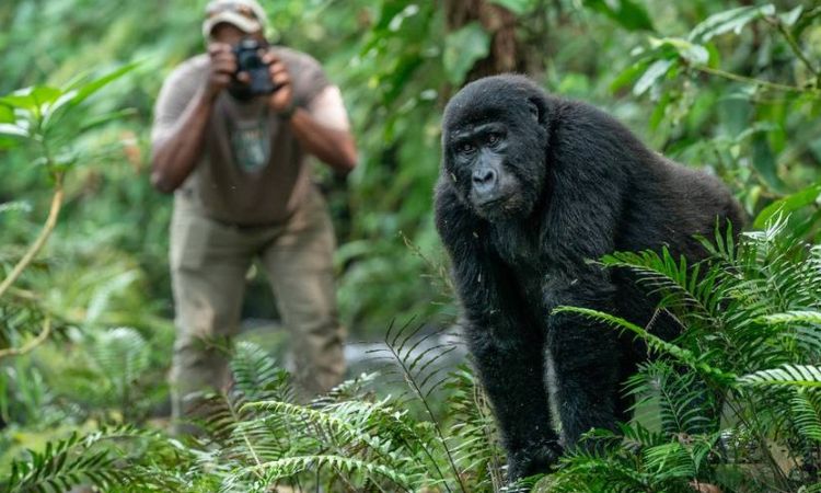Rwanda Photo Safari