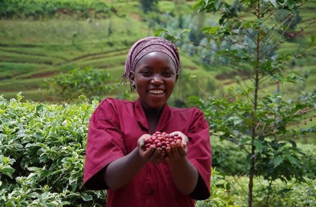 Rwanda Agritourism