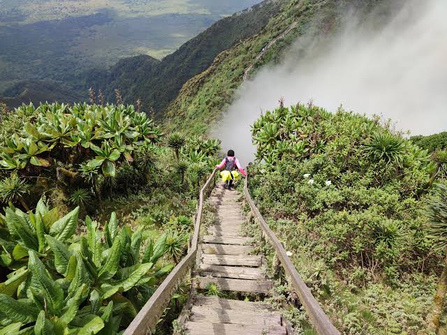 Mount Sabyinyo Rwanda